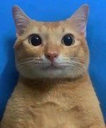 Googoo gaga i want milk