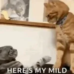 Low quality Macarena