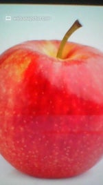 CaseOh yells at Teddy