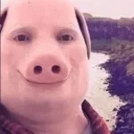 van a sortear el chancho (copy)