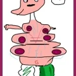 MONTAGEM XONADA slowed