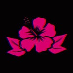 Florida roast - Sound