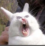 Oh it’s just 𝚈𝚘𝚞𝚛 𝙳𝚎𝚖𝚒𝚜𝚎 - Sound