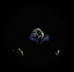 (Noli) How did you get UP THERE!