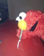 Get a latte around here