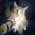 Recording 09/21/25 00:41:29