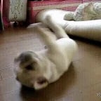 Me derrubaram aqui ó