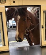 pov lu nembak abang abangan 120fps pubgmobile pubg bgmi foryou - Sound