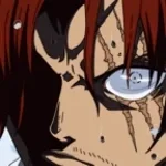 shanks haki