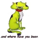 WHERE HAVE YOU BEEEEN