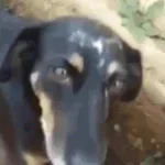 o wanda porque w se escreve com d  - MemesBR (youtube)