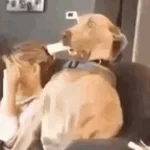 sound after flashbang