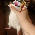 MICHAEL, DON'T LEAVE ME HERE