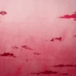 PATINGIN NG PEPE 0.5