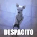 despacito