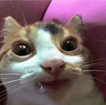 Ona By tak chciała part1