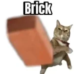 I_live_in_a_low_income_housing_environment