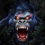 oh olala le truc de ouf ça rentre paaas