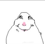 that one jx1dx1 animation