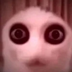 Recording 04/05/26 22:44:59