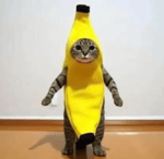 Banana Man