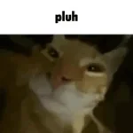 pluh