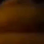 freddy-backshots (copy)