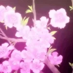 black beatles | slowed