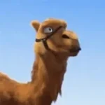 تبا تشوف الجمل ابو راسين - Sound