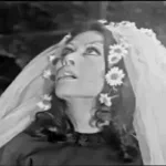 pedra com a bunda lisa