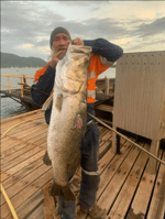 All iwant for christmas is you