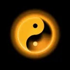 domain expansion yin and yang (copy)