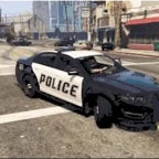 Grand Theft Auto V  Item Pickup