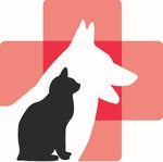 The Veterinarian Awesome Song!