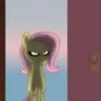 Fluttershy warned you...