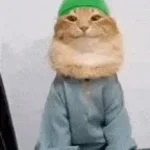 HALAL CAT