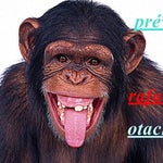 Eu vim ver o macaco - Sound