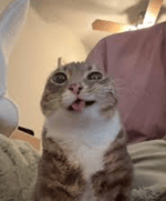 What's New Scooby Doo