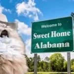 sweet home..alabama
