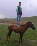 Chinese Da ge mei slowed and reverb