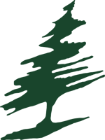 v12044gd0000ciometrc77u92ls89mng