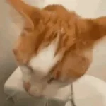 Deep Meow Sound Effect