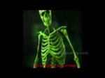 Stuck Inside Green Skeleton Verse