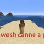 Wesh wesh canne à Pêche