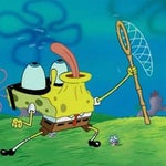 Win victory screech
