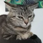 whatthetuffness
