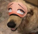 reverse brain aneurysm