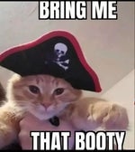 ir sais dream girl dance