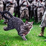 good job. enemy was detected