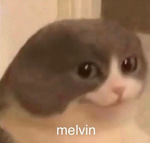 Netflix Bad Bunny ft Brytiago(sped up)